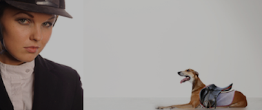 Erfüllen Sie die Kundenanforderungen?