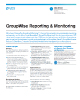 GroupWise Reporting & Monitoring
