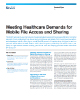 Meeting Healthcare Demands for Mobile File Access and Sharing Product Flyer
