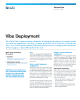 Vibe Deployment Services Flyer
