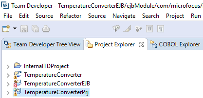 Project Explorer view