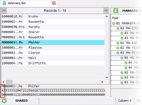 The Hexadecimal pane